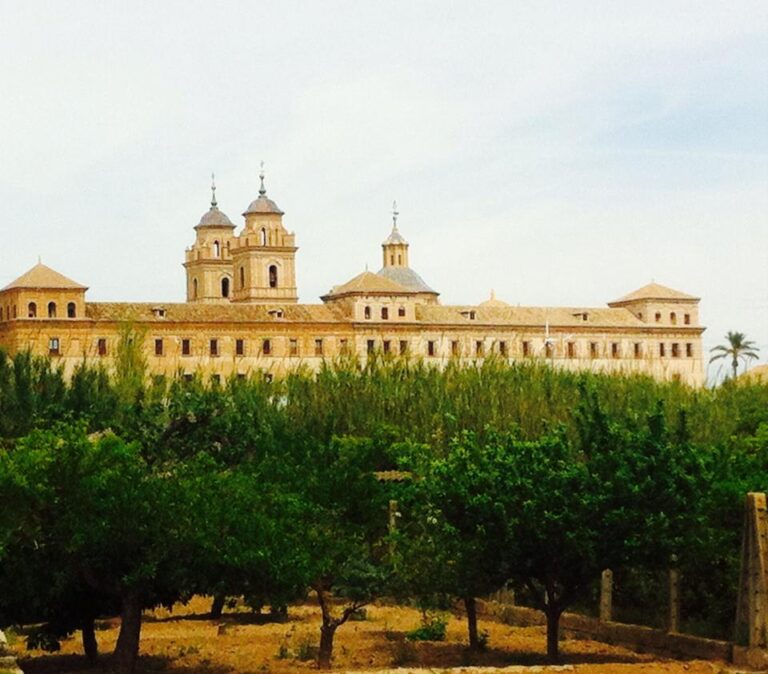 UCAM Universidad Católica San Antonio de Murcia