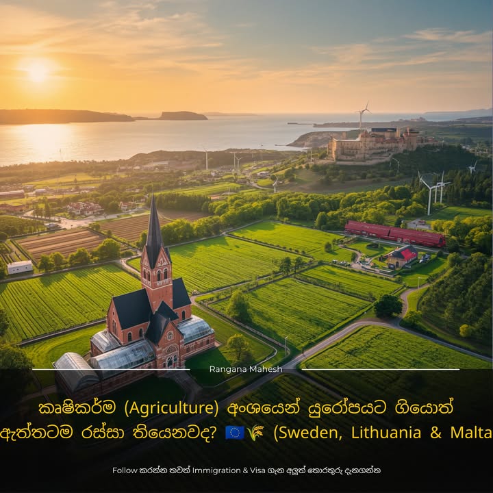 කෘෂිකර්ම (Agriculture) අංශයෙන් යුරෝපයට ගියොත් ඇත්තටම රස්සා තියෙනවද? 🇪🇺🌾 ලංකාවේ කෘෂිකර්ම (Agriculture) උපාධියක් කළාම