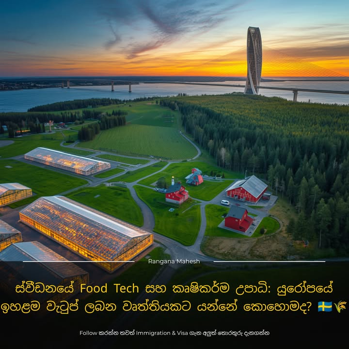 ස්වීඩනයේ Food Tech සහ කෘෂිකර්ම උපාධි: යුරෝපයේ ඉහළම වැටුප් ලබන වෘත්තියකට යන්නේ කොහොමද? 🇸🇪🌾 ලංකාවේ කෘෂිකර්ම (Agricultu