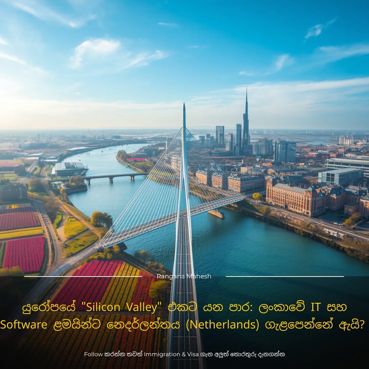 යුරෝපයේ "Silicon Valley" එකට යන පාර: ලංකාවේ IT සහ Software ළමයින්ට නෙදර්ලන්තය (Netherlands) ගැළපෙන්නේ ඇයි? 🇳🇱💻