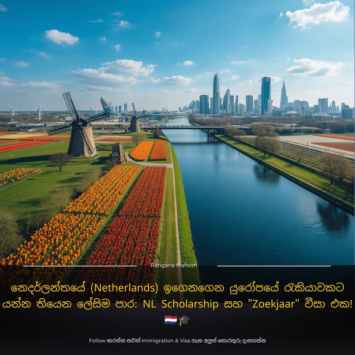 නෙදර්ලන්තයේ (Netherlands) ඉගෙනගෙන යුරෝපයේ රැකියාවකට යන්න තියෙන ලේසිම පාර: NL Scholarship සහ "Zoekjaar" වීසා එක! 🇳🇱🎓
