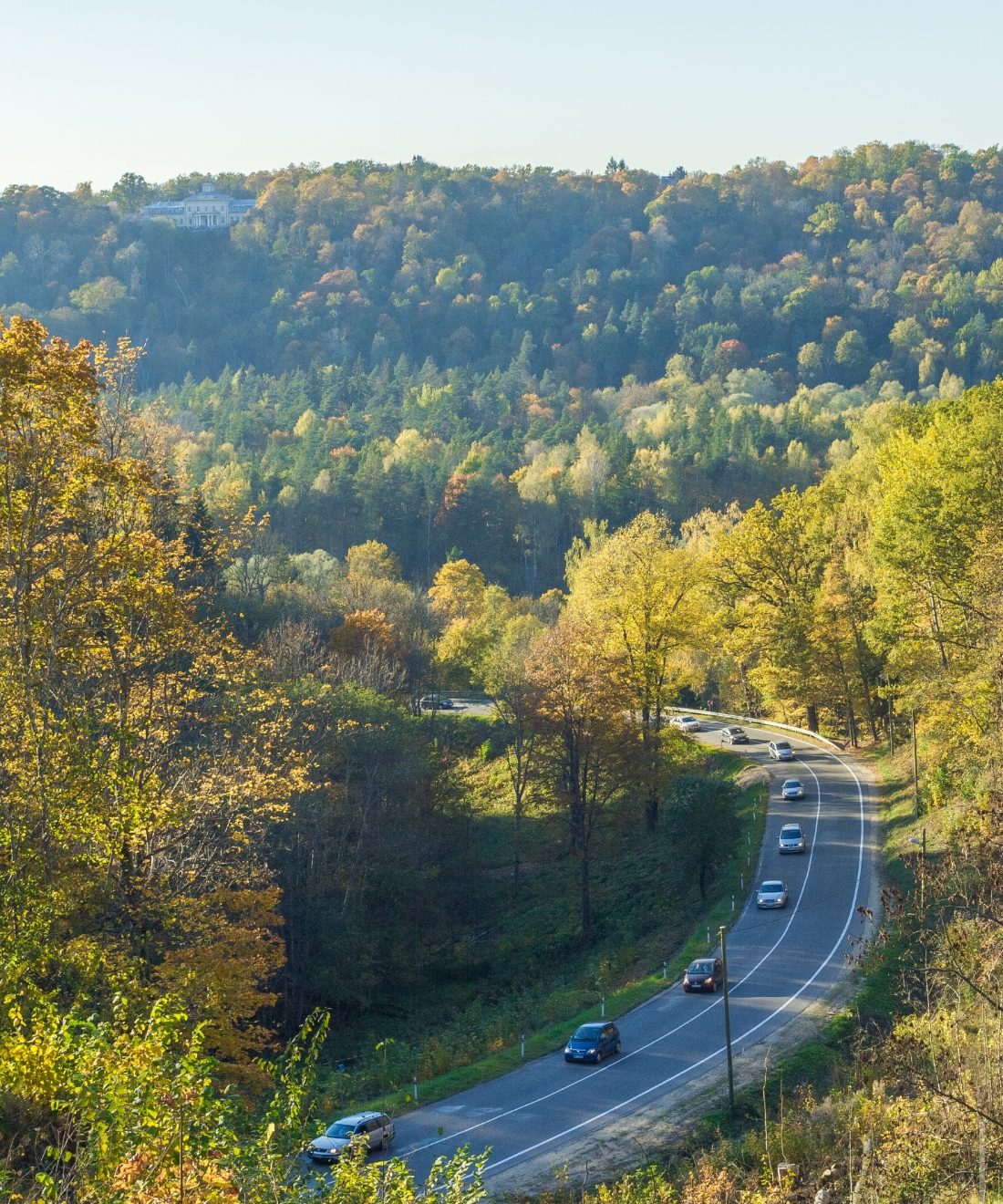 The forested Gauja valley, half an hour from Riga