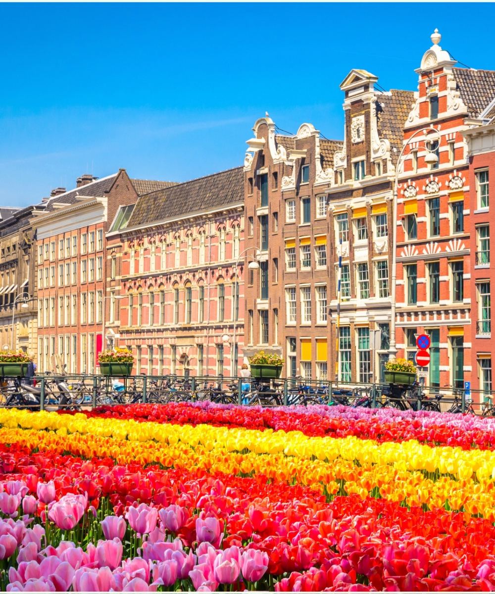 The Netherlands