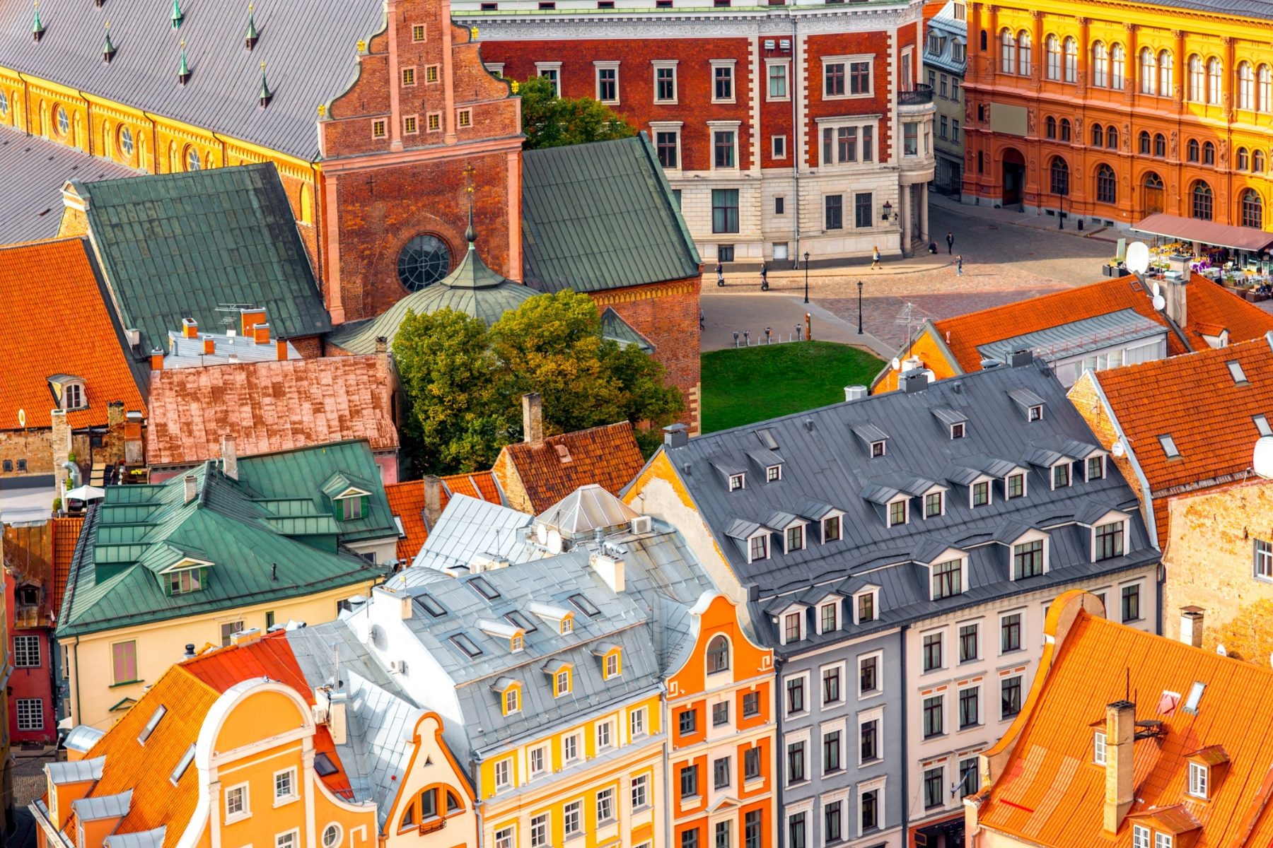 Study in Latvia with Ahasa Consultancy