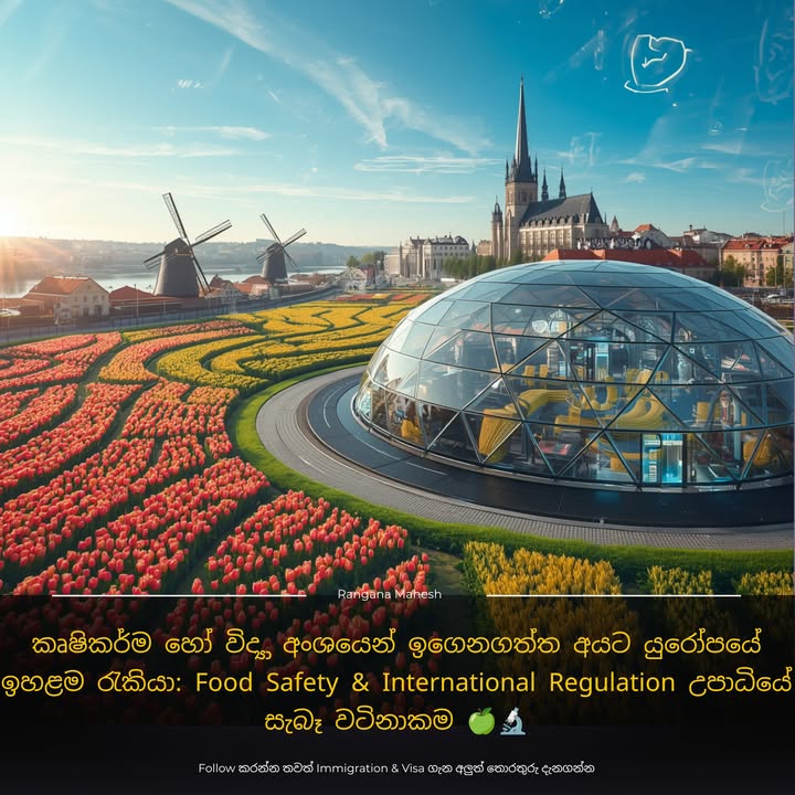 කෘෂිකර්ම හෝ විද්‍යා අංශයෙන් ඉගෙනගත්ත අයට යුරෝපයේ ඉහළම රැකියා: Food Safety & International Regulation උපාධියේ සැබෑ වටිනාක